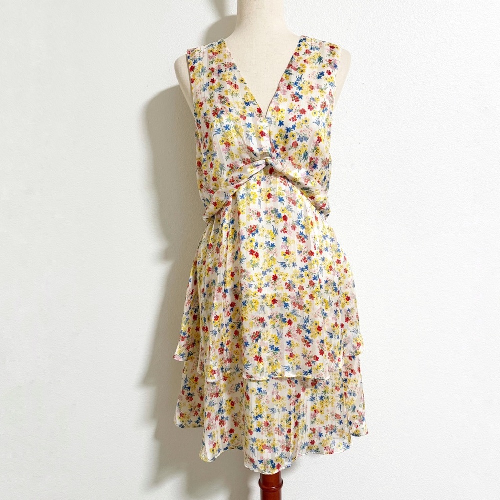 Banana Republic Floral Striped Double Ruffle Dress